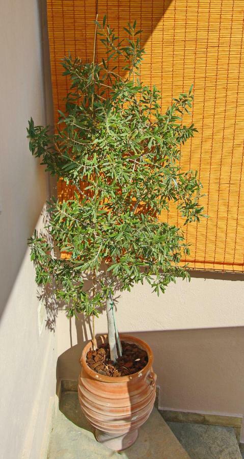 Apartmán Elena 3 Kavala Exteriér fotografie